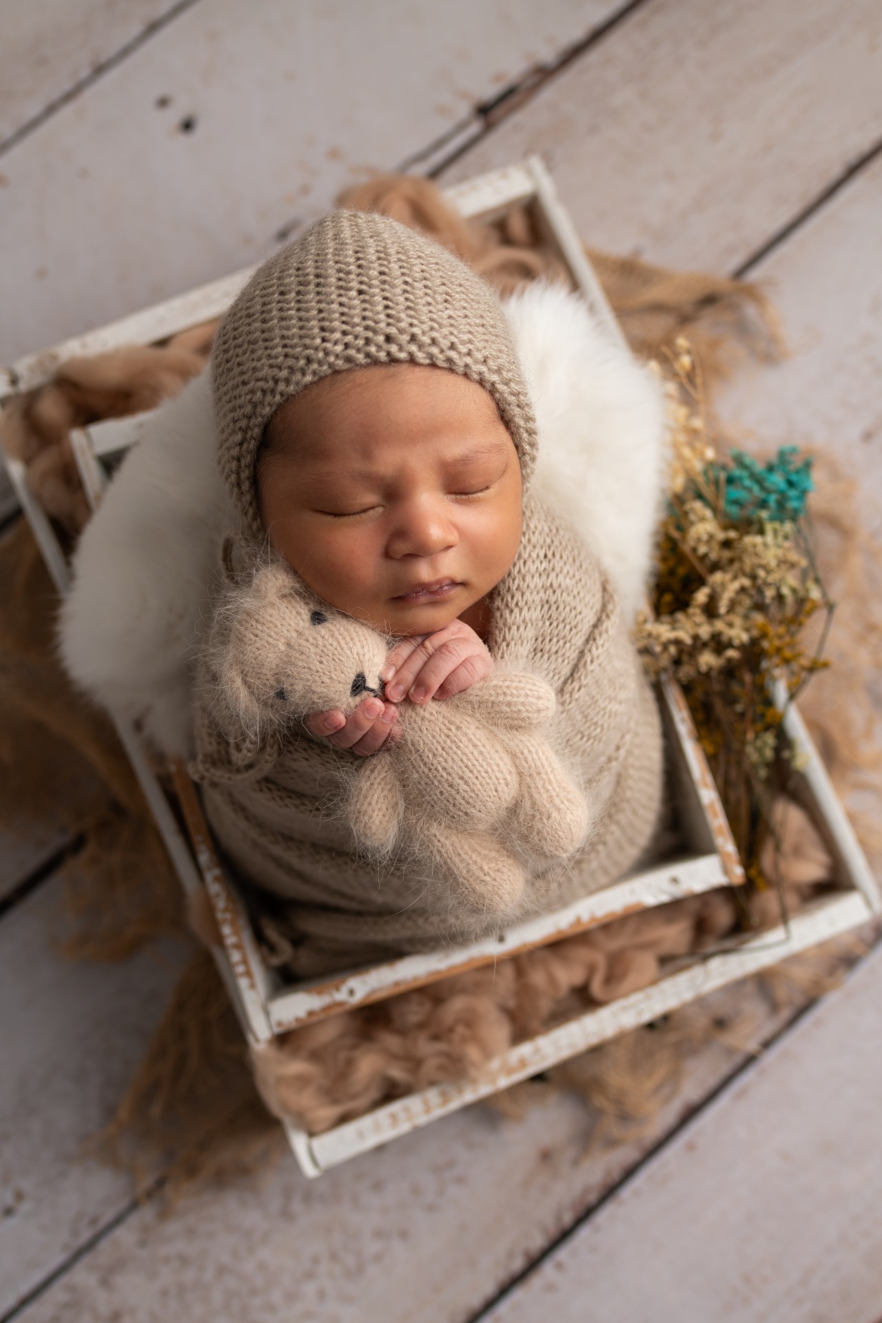 newborn holding a teddy