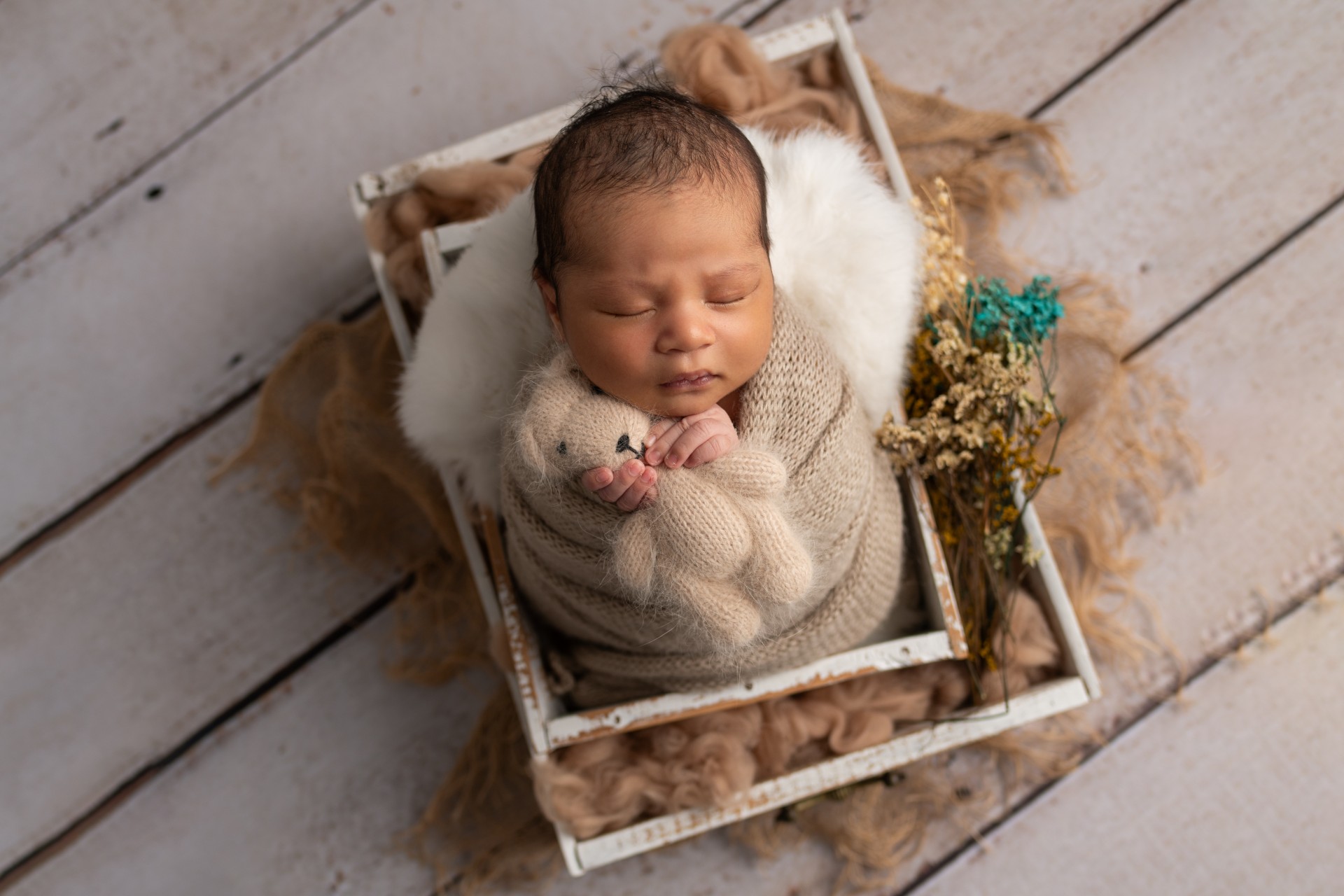 newborn photo in the basket with the teddy