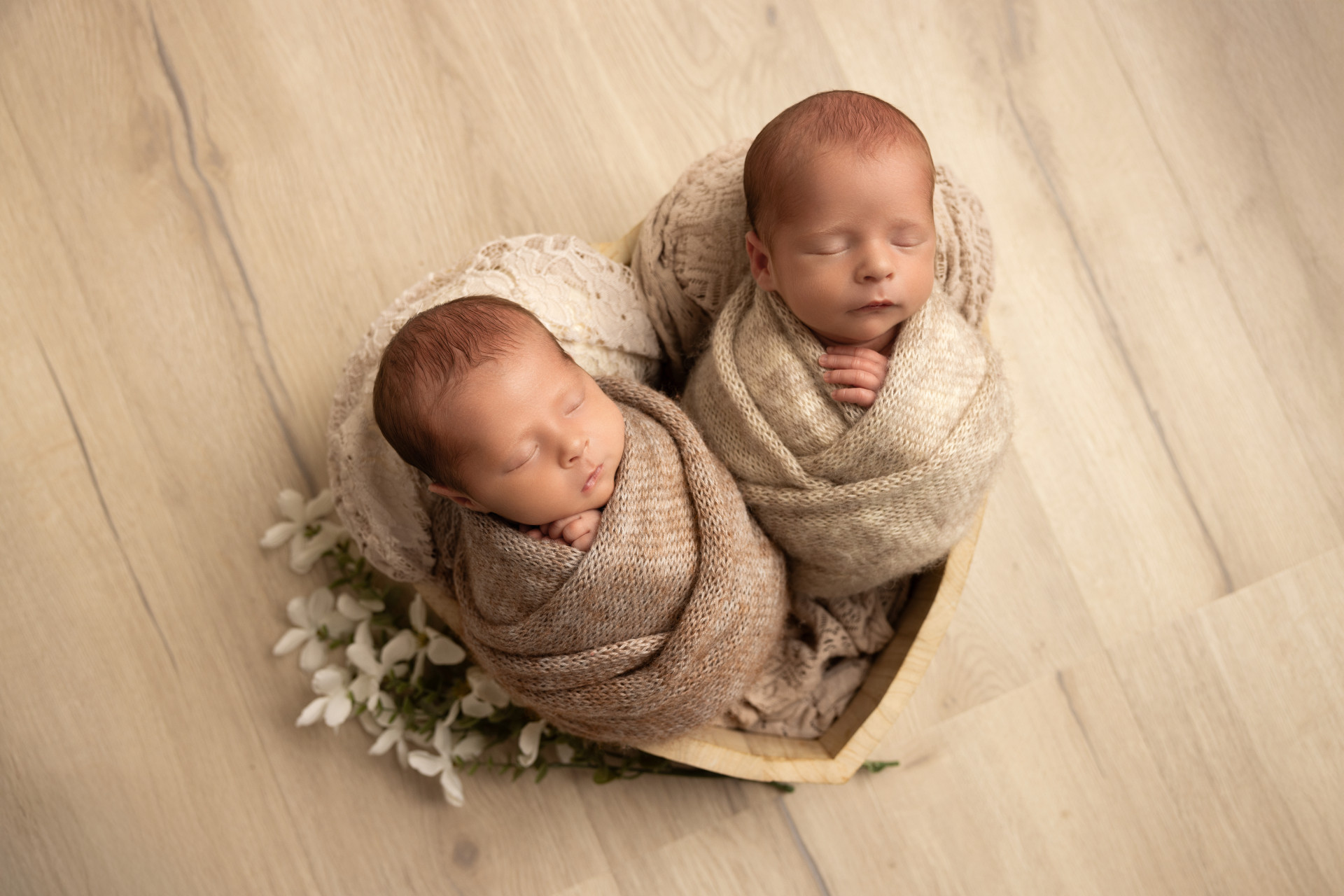 twins newborn session