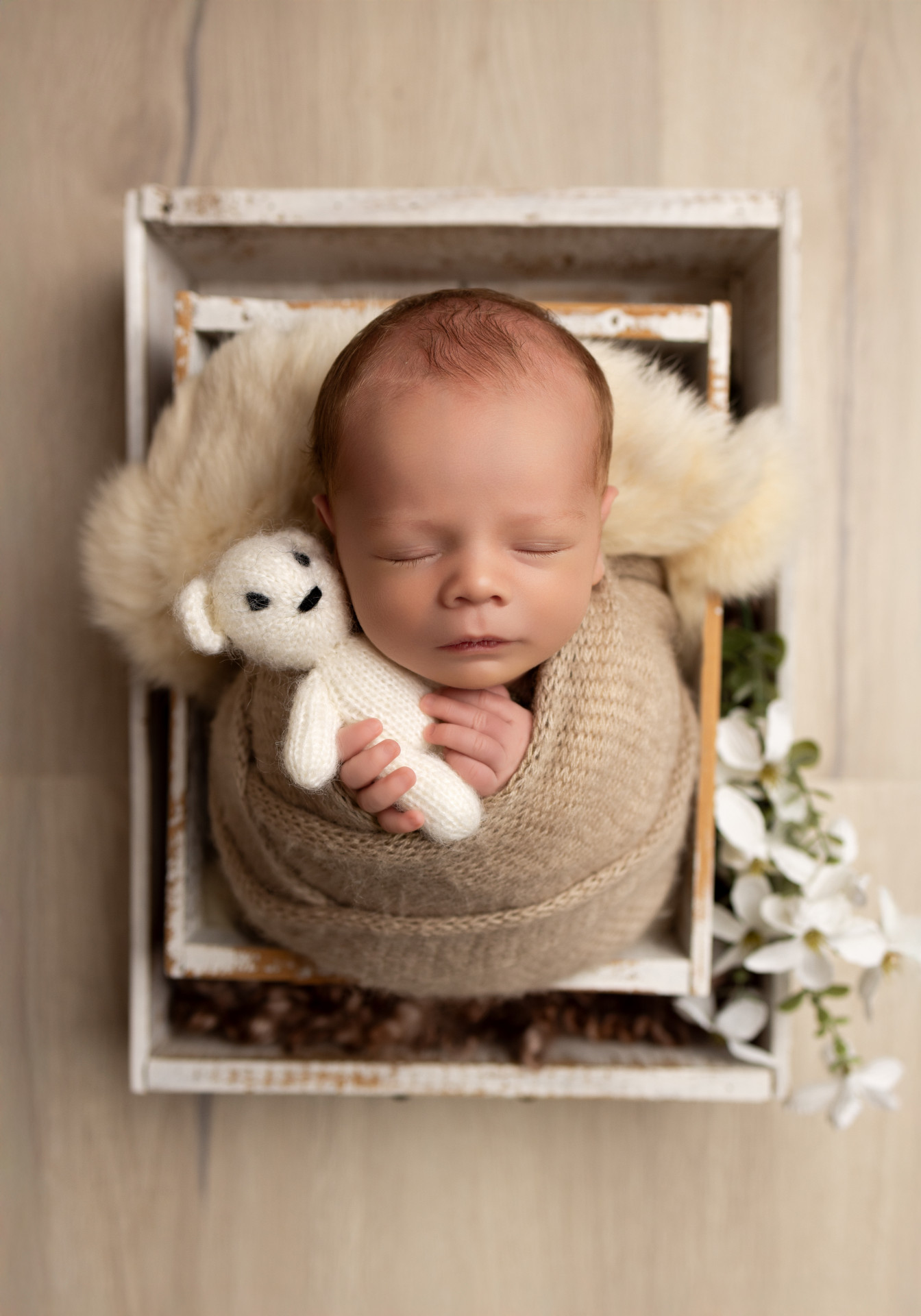 baby in the basket holding teddy